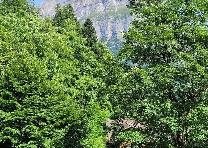 Waldhuus Bellary Lodge